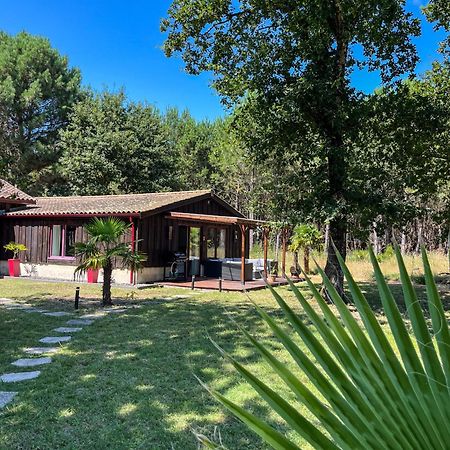 House de la Canopée with Swimming pool, Garden&WIFI Hourtin Exterior foto